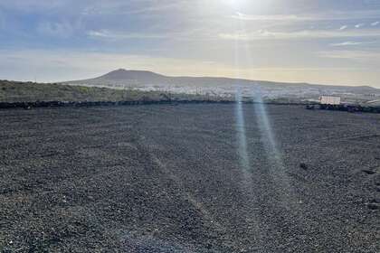 Pozemky na prodej v Teguise, Lanzarote. 
