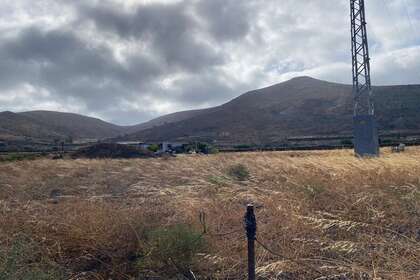 Pozemky na prodej v Máguez, Haría, Lanzarote. 