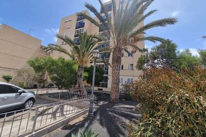 平 出售 进入 Arrecife, Lanzarote. 