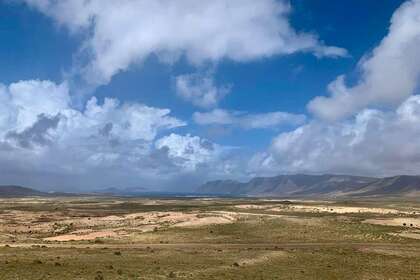 Pozemky na prodej v Teguise, Lanzarote. 