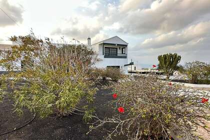 Chalets verkoop in Tinajo, Lanzarote. 