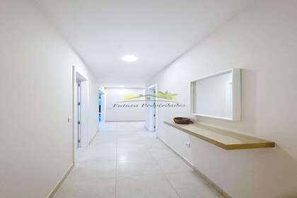 平 进入 Arrecife, Lanzarote. 
