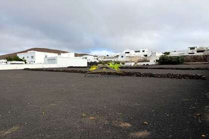 Parcela/Finca venta en San Bartolomé, Lanzarote. 