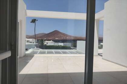 terrazza