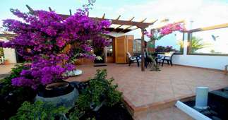 terrace