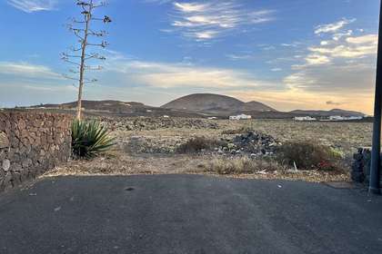 environment