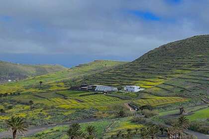 Plot for sale in Haría, Lanzarote. 