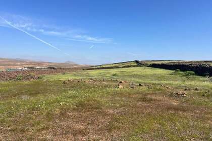 Parcelle urbaine vendre en Tahiche, Teguise, Lanzarote. 