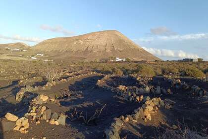 Terreno rústico/agrícola venta en Masdache, Tías, Lanzarote. 