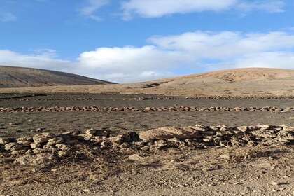 Terreno rústico/agrícola venta en Montaña Blanca, San Bartolomé, Lanzarote. 