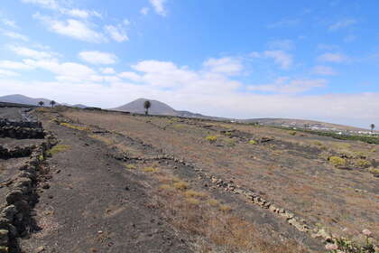Venkovské / zemědělské půdy na prodej v San Bartolomé, Lanzarote. 