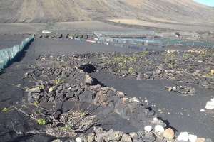 Parcela/Finca venta en La Vegueta, Tinajo, Lanzarote. 