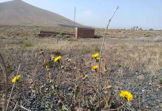 Parcela/Finca venta en Las Cabreras, Teguise, Lanzarote. 