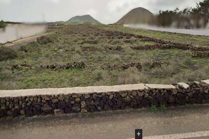 Pozemky na prodej v Muñique, Teguise, Lanzarote. 