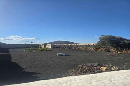 environment