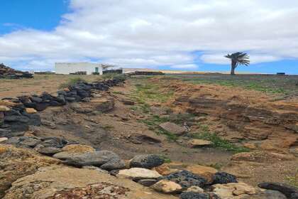 Percelen/boerderijen verkoop in Teguise, Lanzarote. 