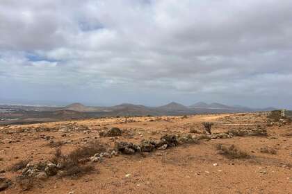 Terreno rústico/agrícola venta en La Villa, Teguise, Lanzarote. 