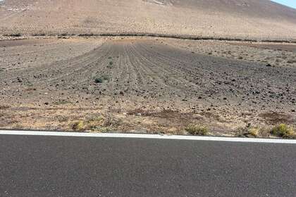 Landwirtschaftliche Fläche zu verkaufen in San Bartolomé, Lanzarote. 