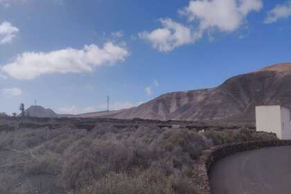 Percelen/boerderijen verkoop in Mala, Haría, Lanzarote. 