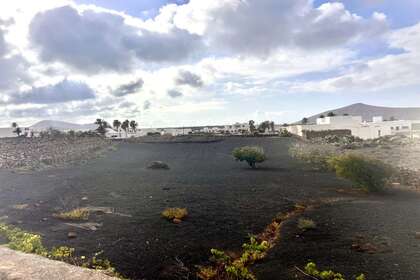 Grund til salg i Tajaste, Tinajo, Lanzarote. 