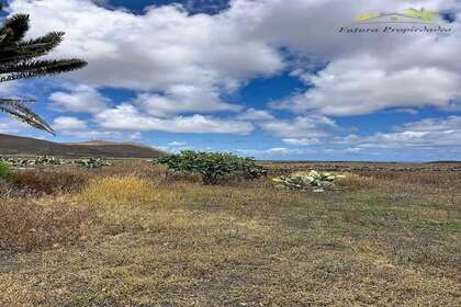 Grundstück/Finca zu verkaufen in La Vegueta, Tinajo, Lanzarote. 