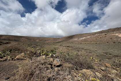 Terres agricoles vendre en Ye, Haría, Lanzarote. 