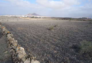 Rural/Agricultural land for sale in Muñique, Teguise, Lanzarote. 